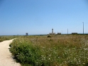 IMG_0688_3