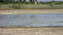 IMG_0037